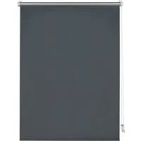 Seitenzugrollo Thermo Klemmrollo Energiesparend, GARDINIA, ohne Bohren, freihängend, Klemmfix, abdunkelnd mit Thermobeschichtung