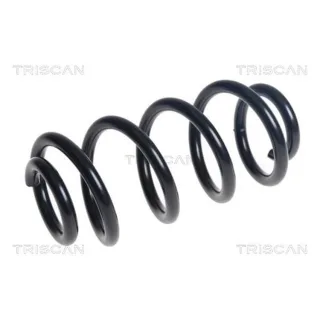 Triscan Feder hinten BMW 2er 875011248