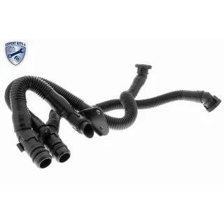 Vaico Schlauch f?r Zylinderkopfhaube Audi A4 A6 A8 V10-3503