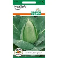 SAMEN PFANN Gemüsesamen Weißkohl, Filderkraut, Spitzkohl, Express - Saatgut Samen, Brassica oleracea