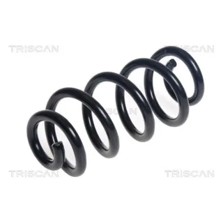 Triscan Feder hinten Audi A4 B9 2,0 875029502