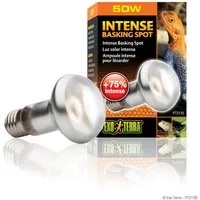 Exo Terra Terrarienleuchte Intense Basking Spot - Tageslichtlampe