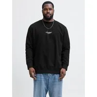 Jack & Jones PlusSize Sweatshirt JJESOHO SWEAT CREW NECK NOOS PLS Baumwollmischung, regular fit