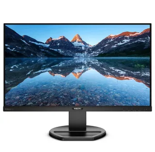 Philips B Line 252B9 | 252b9/00 | LED-Monitor - 63.4 cm (25")