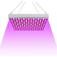 Clanmacy Pflanzenlampe 15/45W LED Grow Lampe mit Rot Blau Licht Zimmerpflanzen Wachstumslampe