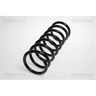 Triscan Feder hinten Ford Galaxy