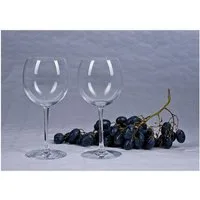 BURI Glas Cristal d'Arques 2er-Set Weingläser Weißweinglas Rotweinglas Weinglas, Glas