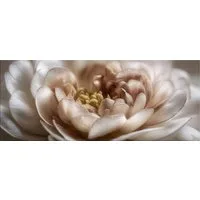 artissimo Glasbild XXL Bild aus Glas 125x50 cm / Panorama Wandbild groß / Wanddeko modern, Blumen und Natur: Makro Blüte in Pastell