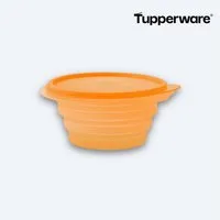 TUPPERWARE Vorratsdose Mini-Max® 700 ml