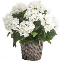 Künstliche Zimmerpflanze Hortensie, Emerald, Höhe 45 cm, Farbe: Weiß, Höhe: 45cm