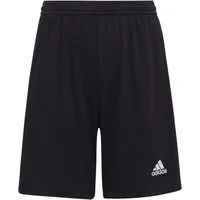 adidas Performance Sporthose adidas Performance Entrada 22 Short Kids Shorts Entrada