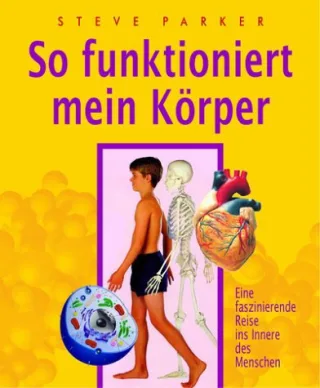 So funktioniert mein Körper