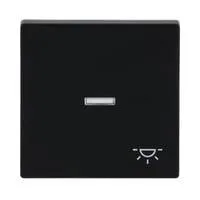 Wippe mit Symbol Licht schwarz, Retail