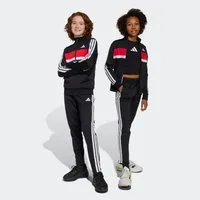 adidas Sportswear Trainingsanzug SEASONAL ESSENTIALS TIBERIO 3-STREIFEN TRICOT KIDS (2-tlg)