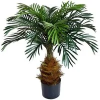 Kunstpalme Cycaspalme 80cm DA Kunstpalmen Kunstpflanzen künstliche Palmen Cycas, Seidenblumen Roß, Höhe 80 cm