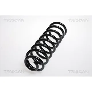 Triscan Feder hinten Renault Sc?nic