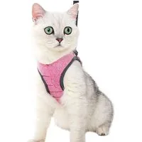 Ledander Katzen-Geschirr Katzengeschirr mit Leine Softgeschirr für Katze Brustgeschirr, Cat Harness Katzengarnitur Ausbruchsicher Verstellbar Katzenweste