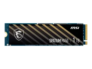 MSI SPATIUM M450 | s78-440l0m0-p83 | SSD - 1 TB