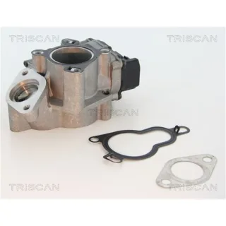 Triscan AGR-Ventil Renault 881325203
