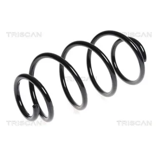 Triscan Feder vorne Citroen Berlingo Peugeot Partner 1,6 875028157