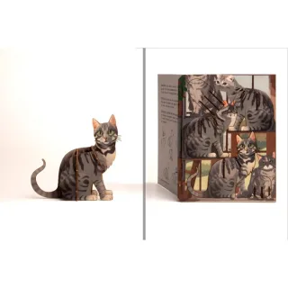 Formes 3D Grusskarte Katze