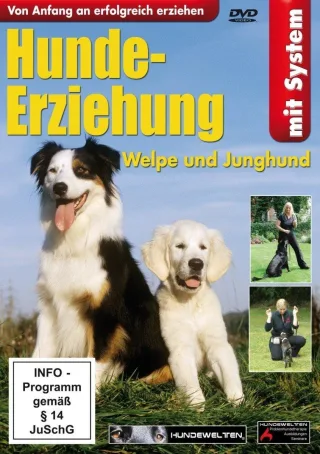 Hunde-Erziehung-Welpe und Junghund