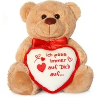 matches21 HOME & HOBBY Plüschfigur Teddybär mit Herz ICH PASS AUF DICH AUF Plüsch-Teddy braun 25 cm (1-St), Süßes Kuscheltier als Valentinstag Liebe Geschenk