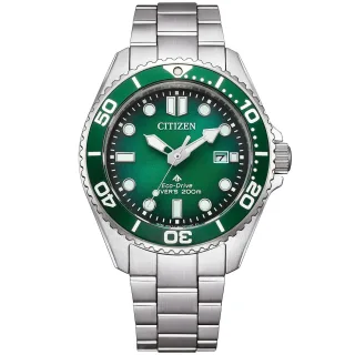 Citizen Promaster Dive Silber Herren Armbanduhr BN0269-50W