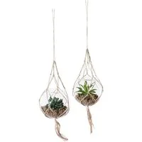 Kunstpflanze Sukkulenten, Creativ green, Höhe 11 cm, mit Makramee-Aufhängung