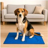 VABIONO Hundematte Hunde-Kühlmatte für drinnen & draußen - im Auto, selbstkühlend 50x90cm, Druckaktivierte Gel-Technologie, kostenloser Versand