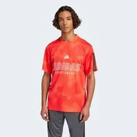 adidas Sportswear T-Shirt HOUSE OF TIRO NATIONS PACK sportlicher Schnitt, kurze Ärmel, mit Grafik und Allover-Print