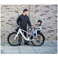 Thule Fahrradkindersitz Ride Along 2 Kindersitz Fahrrad hinten Rahmenmontage grau