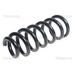 Triscan Feder Vorne VW Amarok