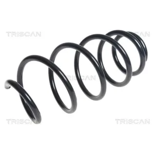 Triscan Feder vorne Citroen Ds3 DS Ds 875028245
