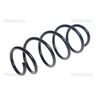 Triscan Feder vorne Ford Fiesta 6 875016116