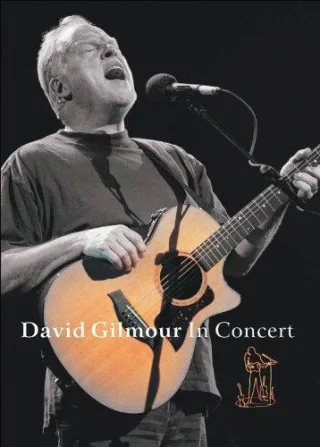 DVD-David Gilmour In Concert