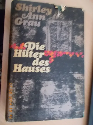 Die einzige Zeugin: Roman