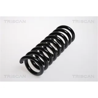 Triscan Feder hinten Mercedes C-Klasse 87502369