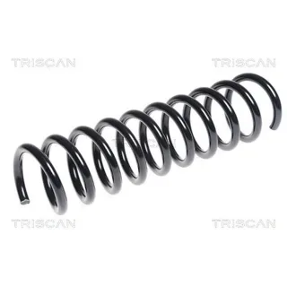 Triscan Feder hinten Ford Kuga 1 2,0 875016086