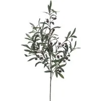 Kunstpflanze Olive, Emerald, Höhe 100 cm, Farbe: Grün, Höhe: 100cm
