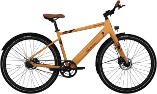 SachsenRad "C3T" 1 Gang Shimano ohne Schaltung Heckmotor 250 W TFT Farb-LCD-Display, Pedelec, Riemenantrieb, Nur 18 kg (ohne Gepäckträger und Schutzbleche)