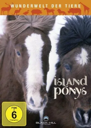 Wunderwelt der Tiere - Island Ponys