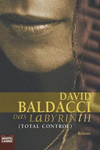 Das Labyrinth (Total Control): Roman (Allgemeine Reihe. Bastei Lübbe Taschenbücher)