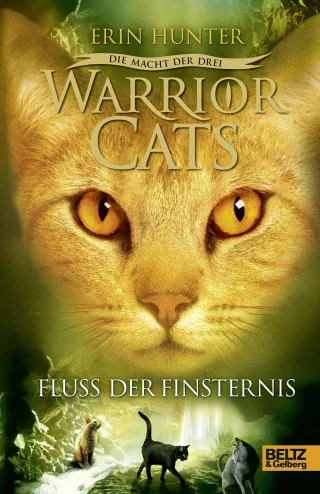Warrior Cats - Die Macht der drei. Fluss der Finsternis: III Band 2 [Gebundene Ausgabe] [2012] Hunter Erin Wiebel Johannes Hansen-Schmidt Anja