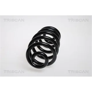 Triscan Feder hinten Audi A4 Seat Exeo 875029182