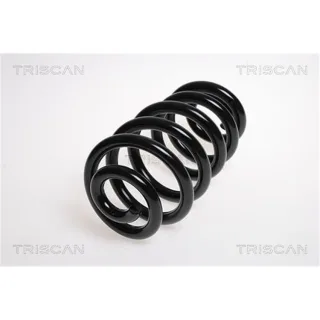 Triscan Feder hinten Audi A4 B6 B7 875029179