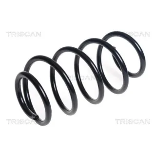 Triscan Feder vorne Ford C-Max Focus 875016130