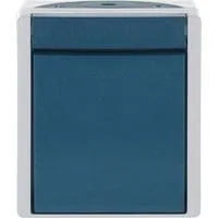 Ausschalter zweipolig Aufputz mit Wippe, Basiselement mit Komplettgehäuse 2601/2 W-53 blaugrün, Retail