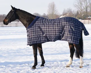 Stalldecke QHP Luxus 300g