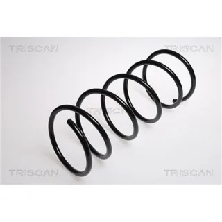 Triscan Feder vorne Peugeot 206 2,0 87502873